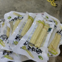 电话联系西双版纳拇指玉米一件代发