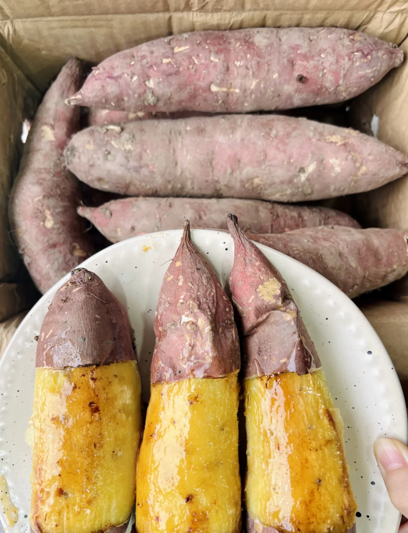 云南高原榴莲蜜薯