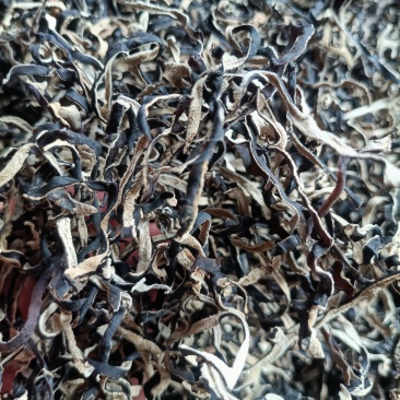 电商丝无根头茬木耳丝长丝去根挖洞木耳丝电商木耳丝品质保证