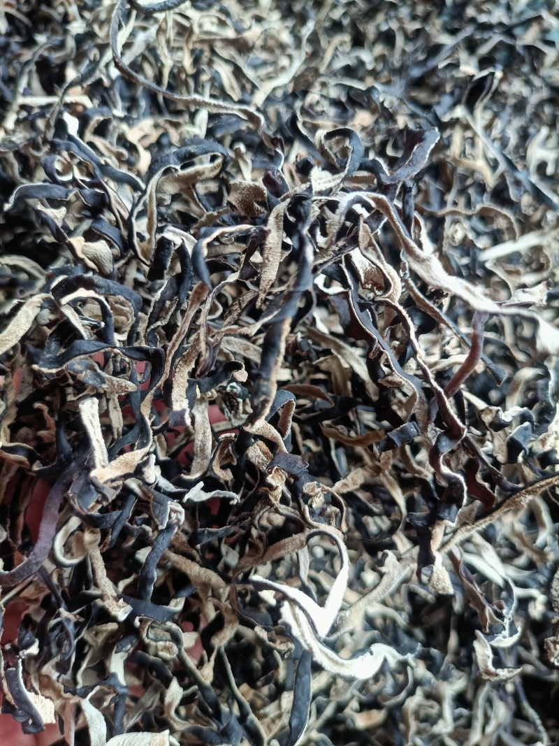 电商丝无根头茬木耳丝长丝去根挖洞木耳丝电商木耳丝品质保证