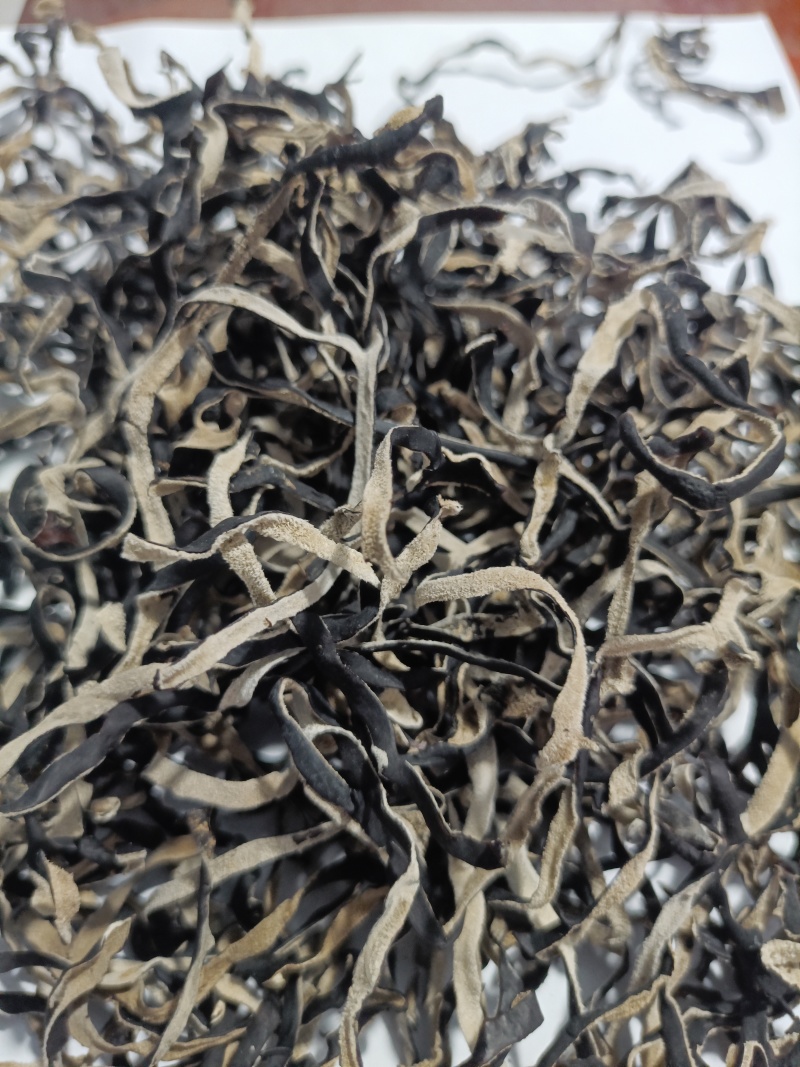 电商丝无根头茬木耳丝长丝去根挖洞木耳丝电商木耳丝品质保证