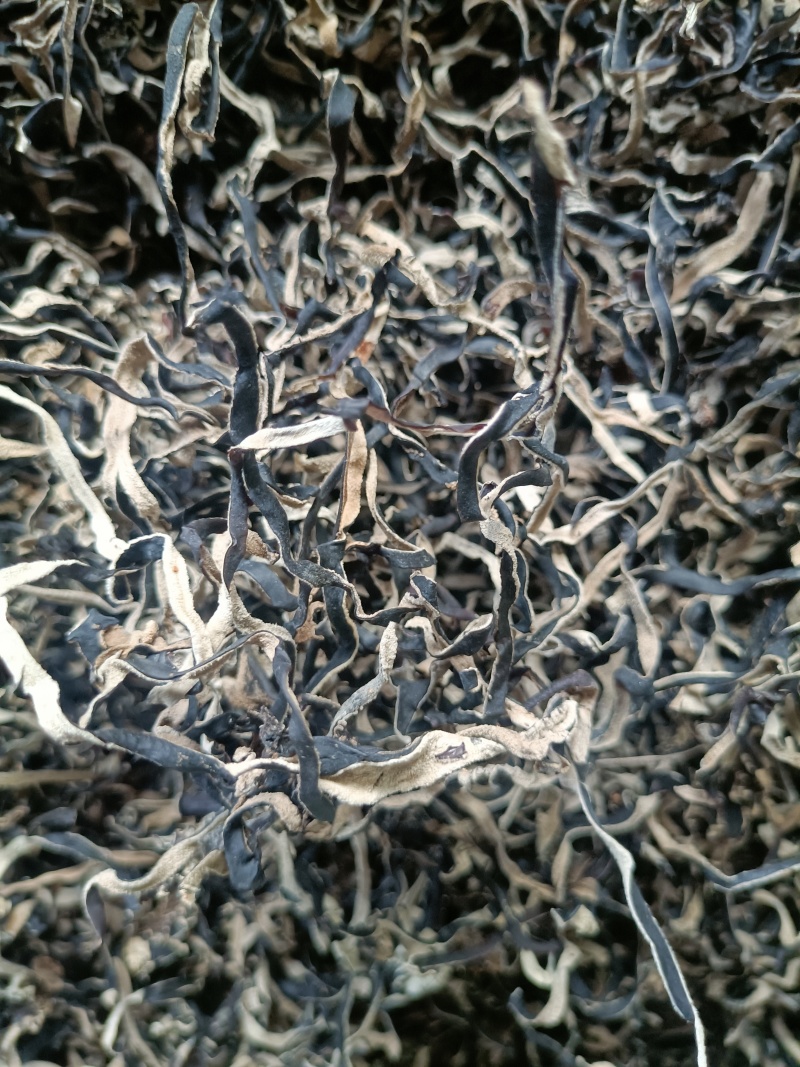 电商丝无根头茬木耳丝长丝去根挖洞木耳丝电商木耳丝品质保证