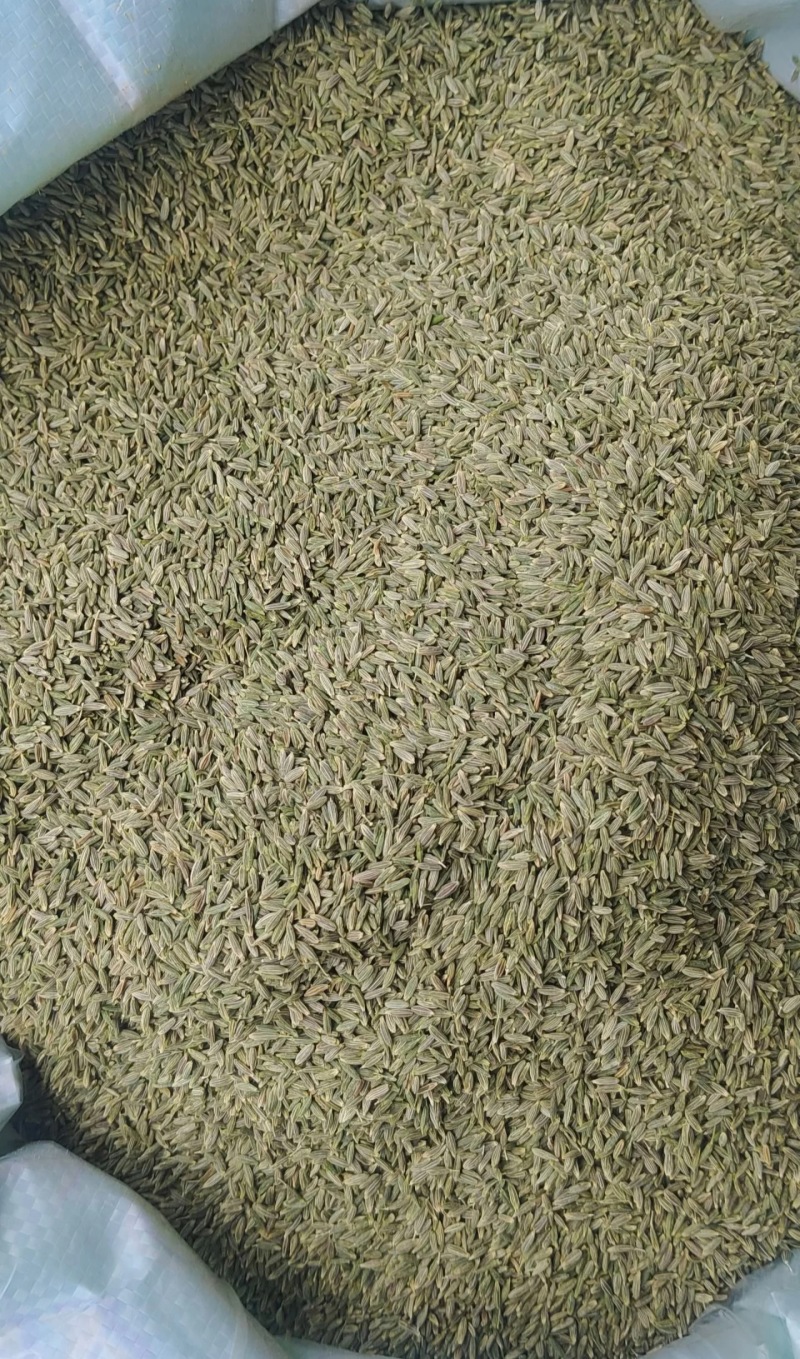 新疆吐鲁番托克逊产区优质孜然含油量高精品新货货源稳定