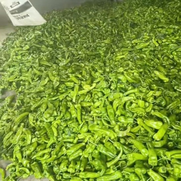 芜湖椒