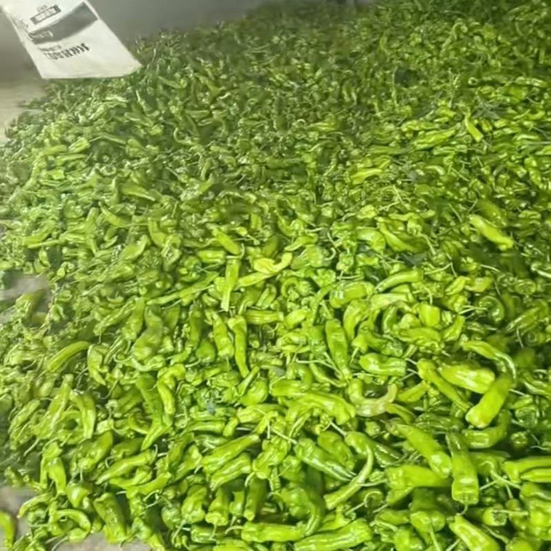 芜湖椒