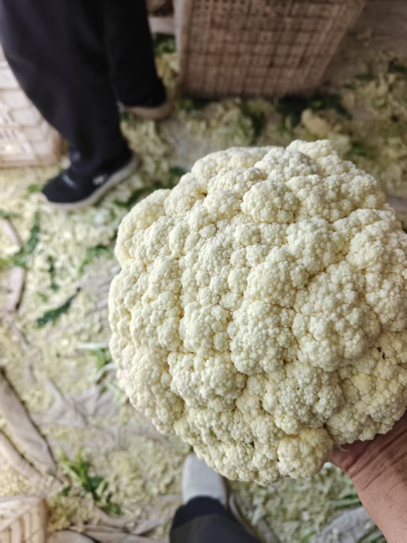 供全国食堂货全品类高次货基地直发价格**