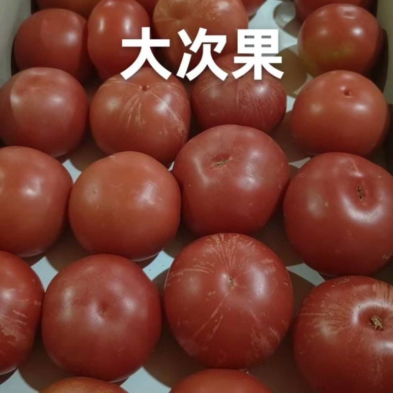 全品类食堂蔬菜大量供应产地直发拒绝高价