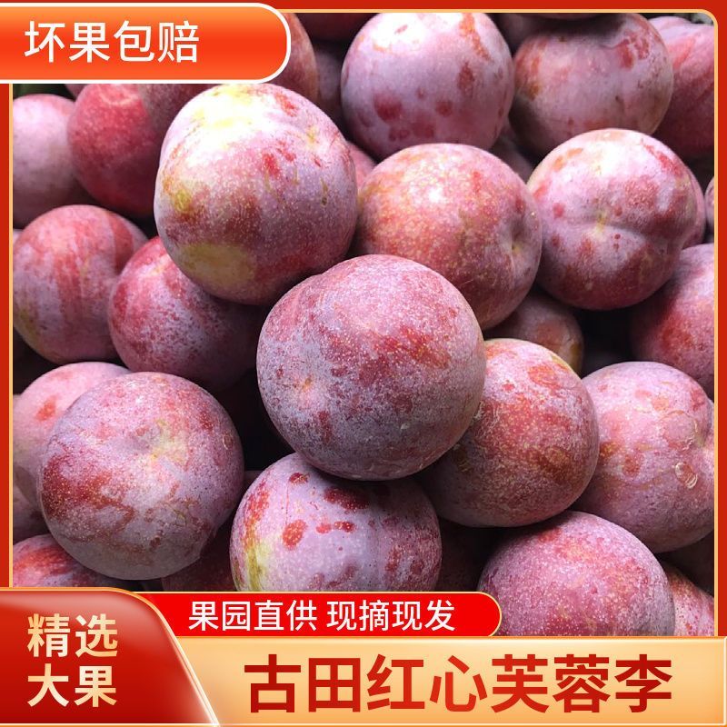 超大个福建古田芙蓉李子红心李大果精品市场大果，产地直发