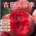 大大个福建古田芙蓉李子，红心李，精品市场超大果，产地直发