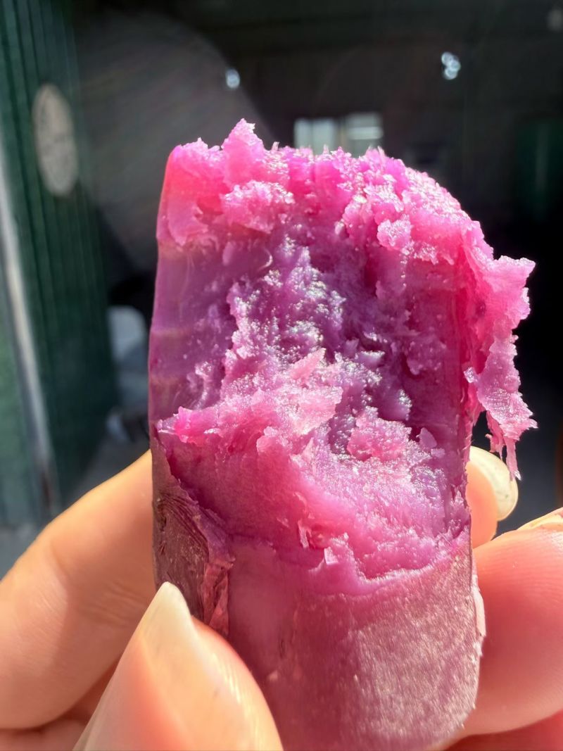 紫薯精品中快市场电商都可以需要联系运费自理
