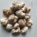 做提取使用猴头菇原料批发特价猴头菇批发猴头菇原料