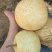 大量套袋翠冠梨、光头黄花梨果面干净化渣口感好无限供应。