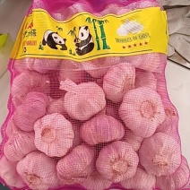 大蒜头