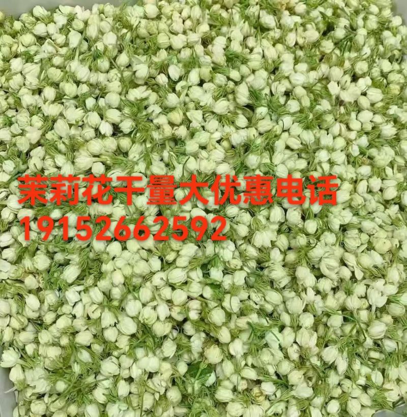 茉莉花蕾干