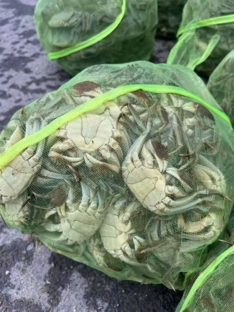 产地下雨价格漂亮48小时发货