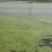 产地下雨价格漂亮48小时发货