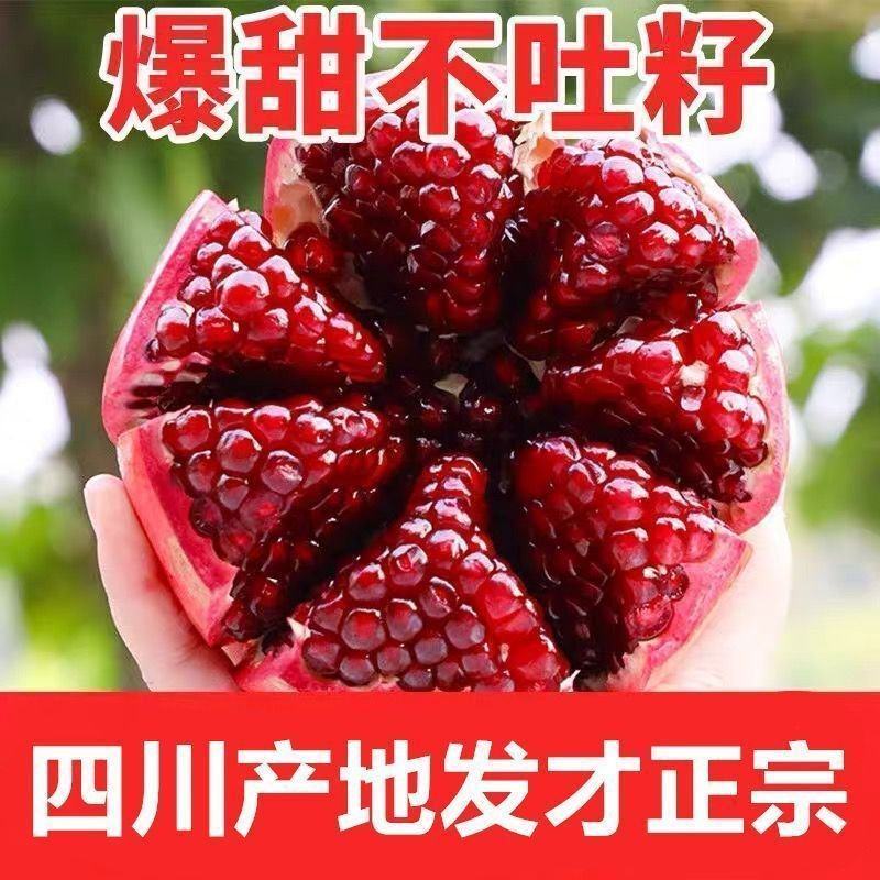 【彩箱产地发】四川会理突尼斯软籽石榴甜石榴新鲜孕妇酸甜水