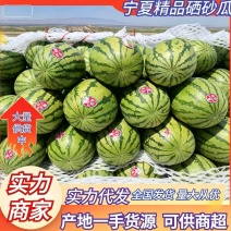 宁夏硒砂瓜产地一手货源，质量保证，全国发货需要的老板联系