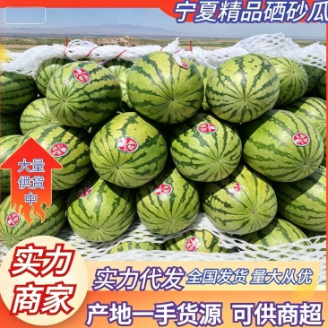 宁夏硒砂瓜产地一手货源，质量保证，全国发货需要的老板联系