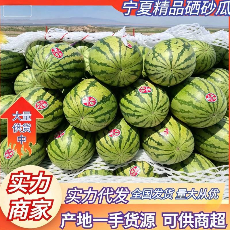 宁夏硒砂瓜产地一手货源，质量保证，全国发货需要的老板联系