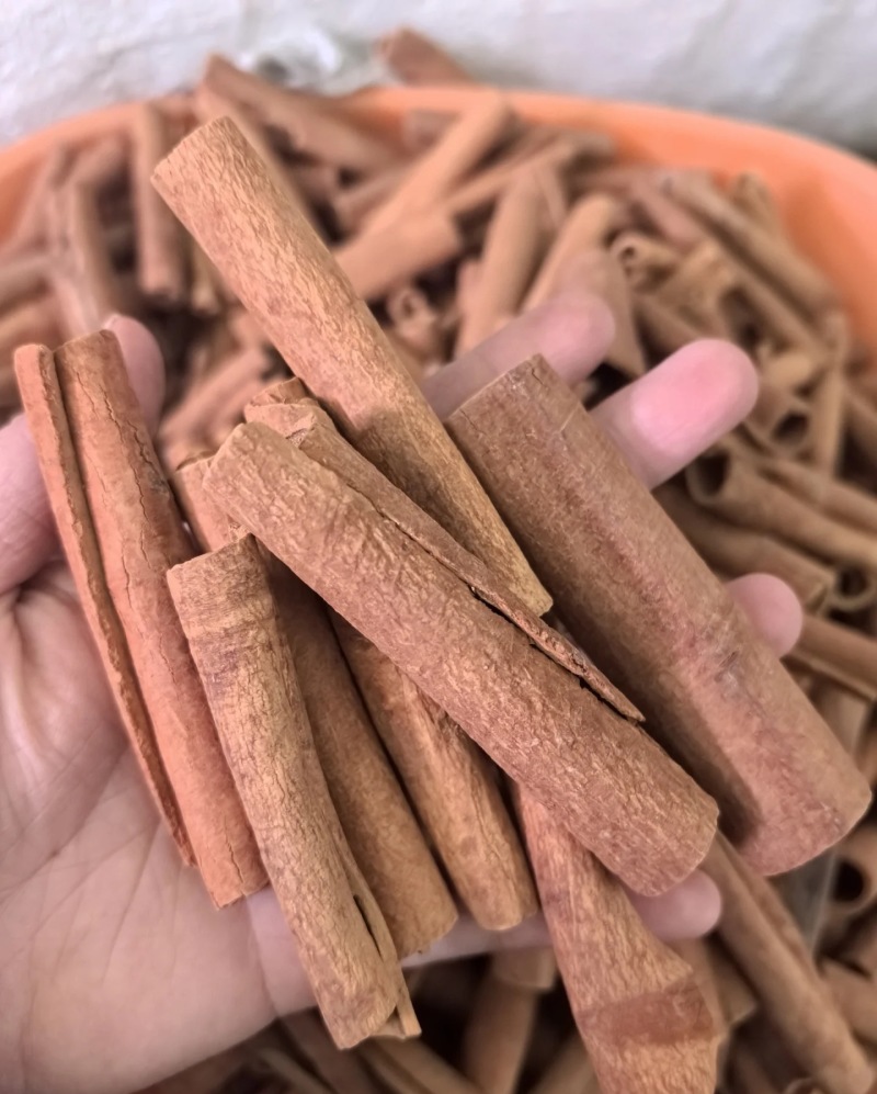 广西产地直发优质桂皮肉桂桂碎按需定制价格可谈