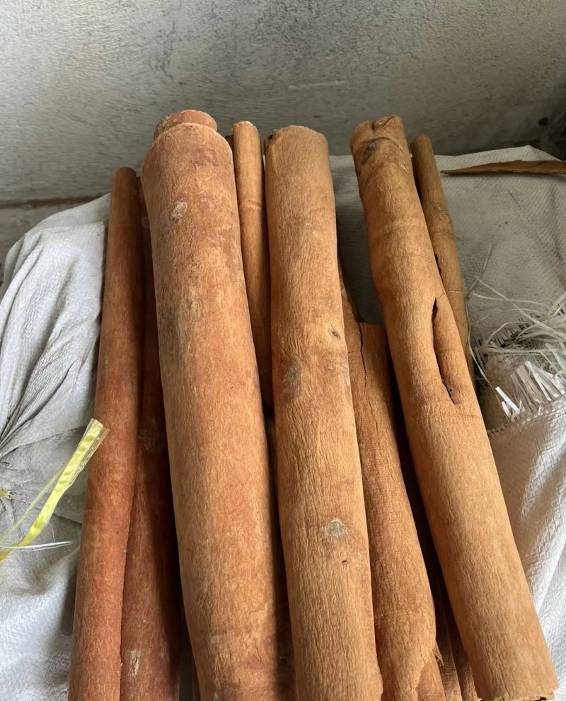 广西产地直发优质桂皮肉桂桂碎按需定制价格可谈