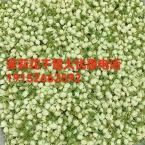 茉莉花干