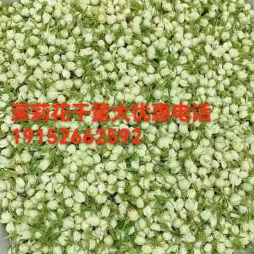 茉莉花干
