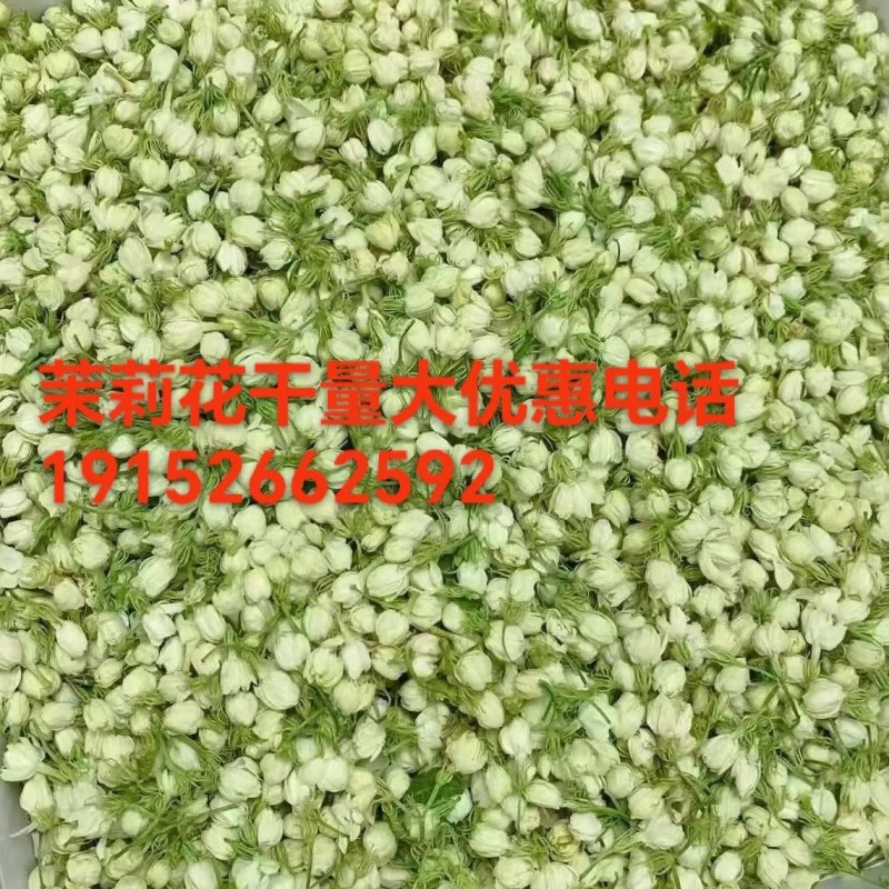 茉莉花干