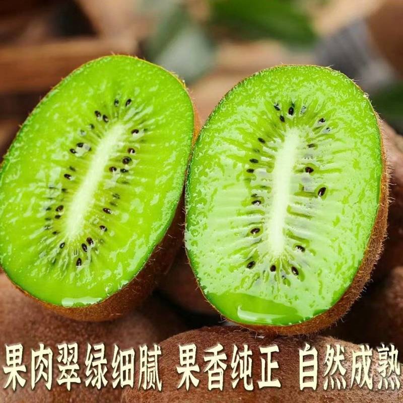 湖南湘西猕猴桃绿心猕猴桃米良1号产地一手货源量大从优
