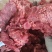 【熟牛肉】五香大块牛碎肉，现做现发