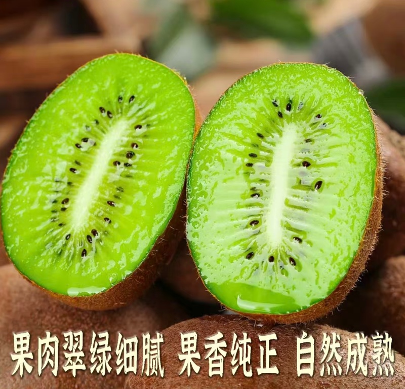 湖南凤凰县绿心猕猴桃米良1号货源充足一手货源量大