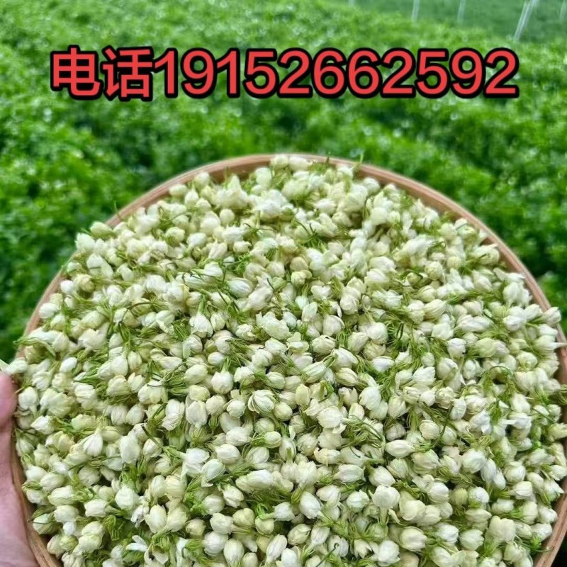 茉莉花蕾干