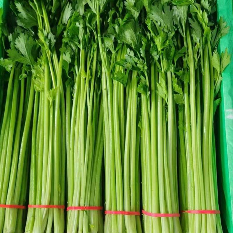 【实力】香芹，产地发货，一手货源，批发品质保证价格美丽