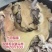 烧皮生猪头肉5元一斤一件20斤100元