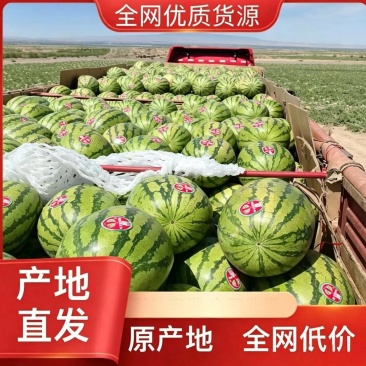 宁夏硒砂瓜产地一手货源，质量保证，全国发货需要的老板联系