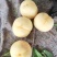 蜜雪
