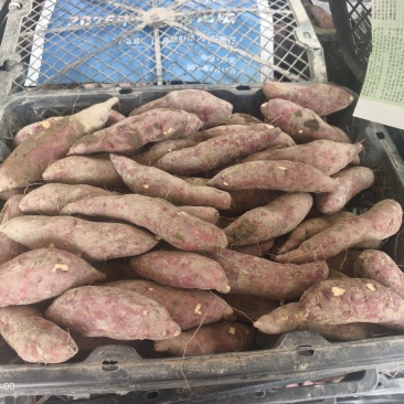 同款心香甘薯小香薯