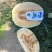 哈密瓜