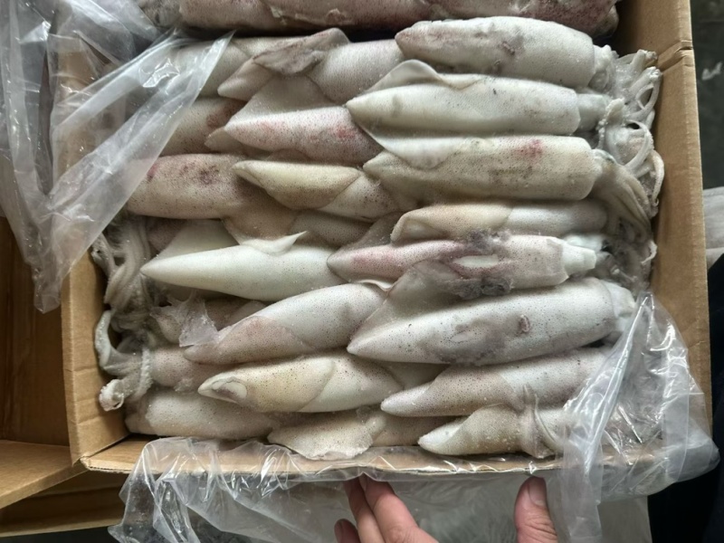 鱿鱼厚肉鱿鱼6/103/6