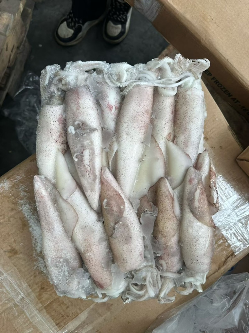 鱿鱼厚肉鱿鱼6/103/6