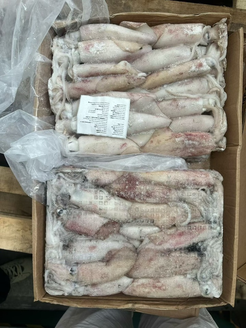 鱿鱼厚肉鱿鱼6/103/6