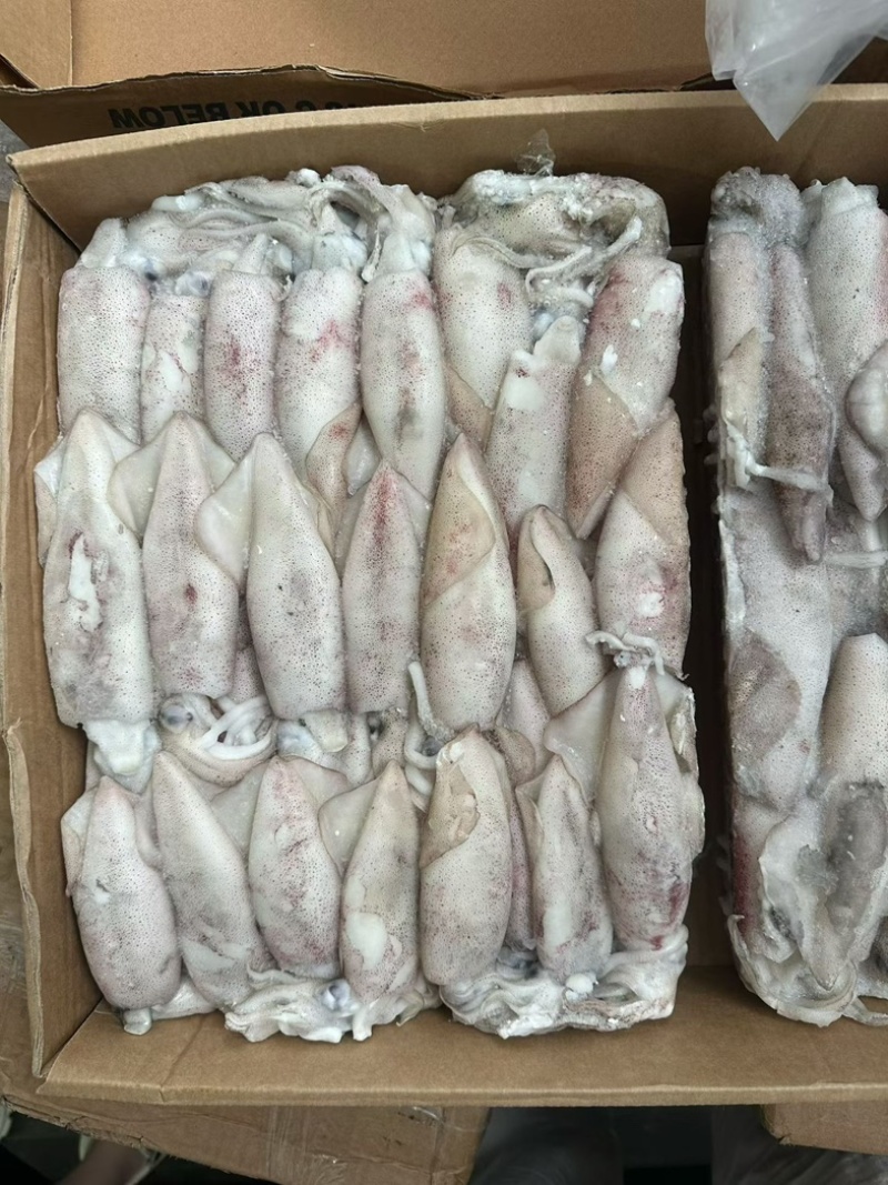 鱿鱼厚肉鱿鱼6/103/6