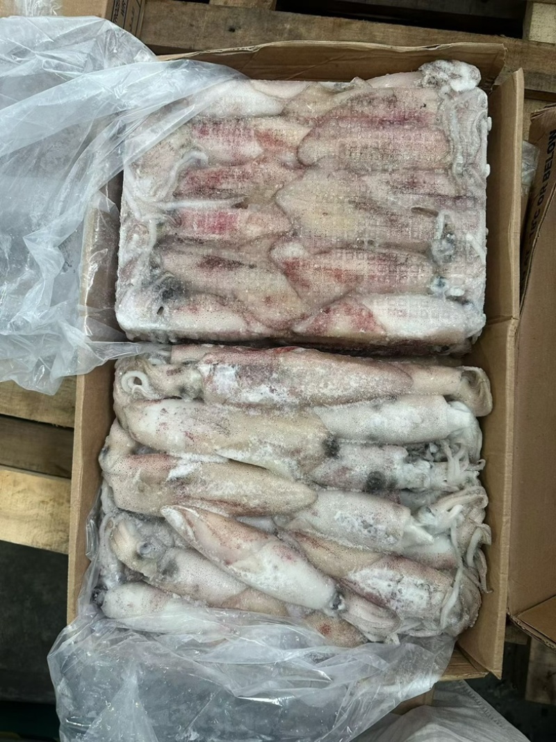 鱿鱼厚肉鱿鱼6/103/6