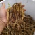 现挖带土四叶参种苗根系完整成活率高量大优惠