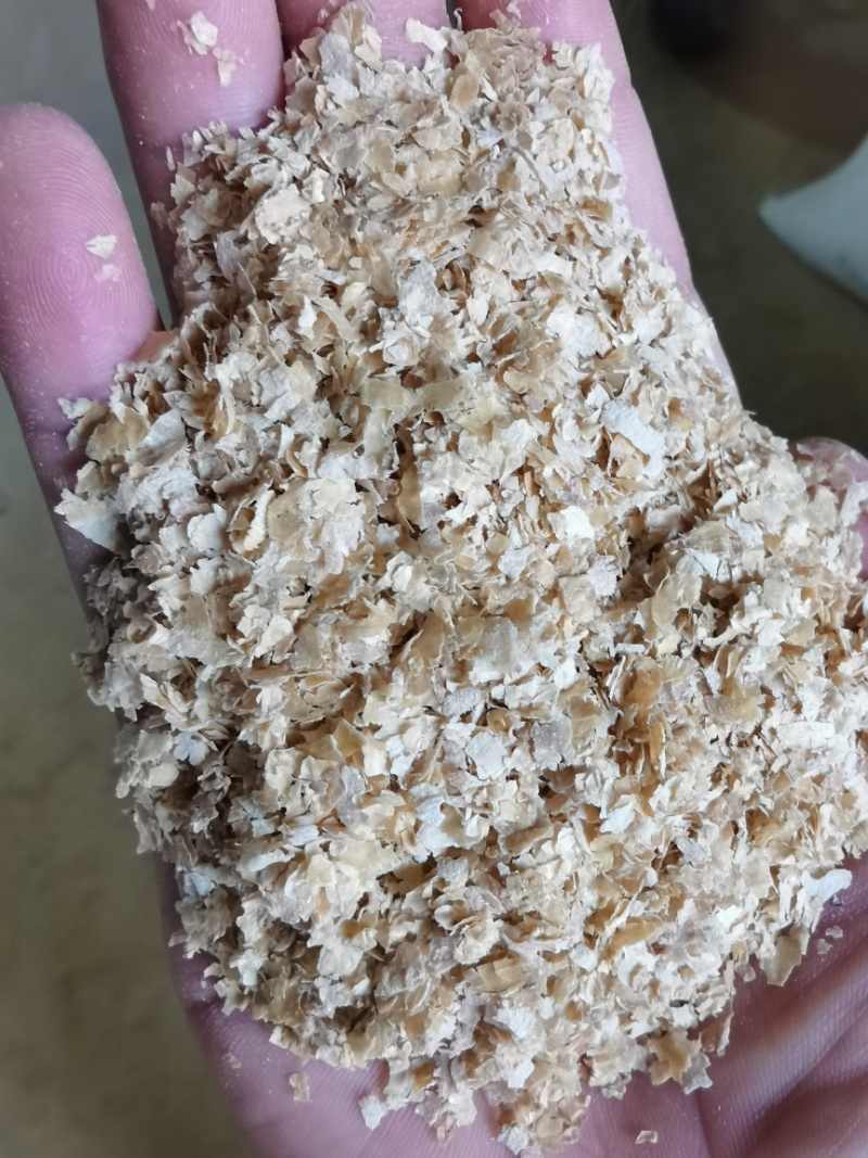 优质烘干大片麸皮，中麸，细麸！量大从优！