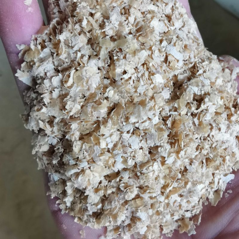 优质烘干大片麸皮，中麸，细麸！量大从优！
