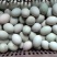 鲜鸭蛋绿壳鸭蛋红心鸭蛋散养鸭子蛋笨鸭蛋货源充足