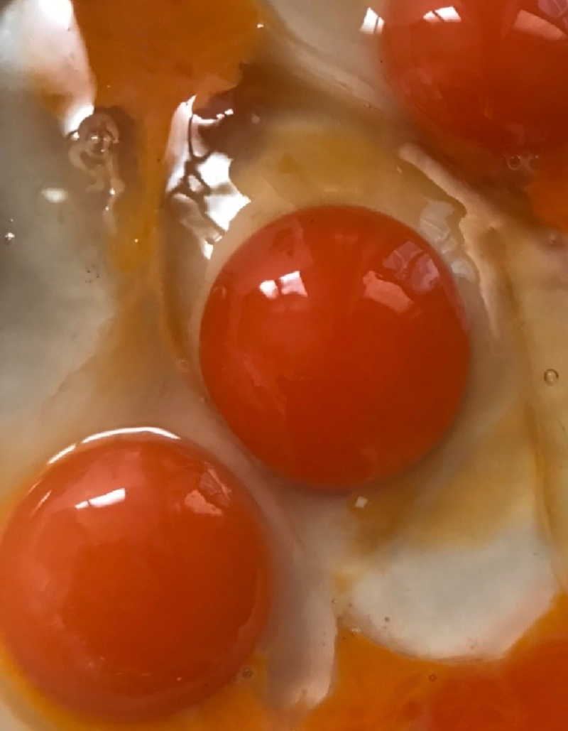鲜鸭蛋绿壳鸭蛋红心鸭蛋散养鸭子蛋笨鸭蛋货源充足