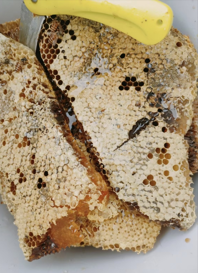 野生蜂蜜散卖100-120一斤，20斤以90-100